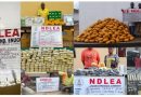 NDLEA Arrests Europe-Bound Groom with 72 Cocaine Wraps, Seizes 2.55m Opioid Pills