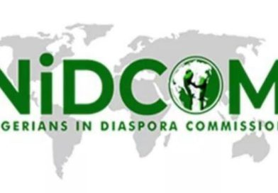 Nigerians in Canada Commend Tunji-Ojo, Immigration Service Over Passport Intervention Nigerians in Canada Commend Tunji-Ojo, Immigration Service Over Passport Intervention