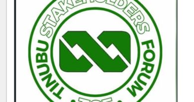 Mambilla ruling protects Nigeria’s finances, opens new economic possibilities — TSF