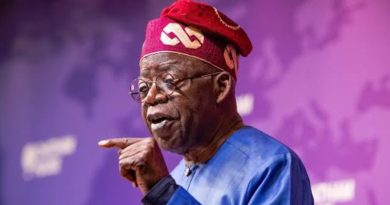 Four Gas FIDs Signal Oil, Gas Industry Recovery Under Tinubu — TSF