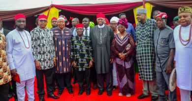 Ohanaeze Ndigbo Celebrates Igbo Day in Umuahia, Urges Unity for Greater Development