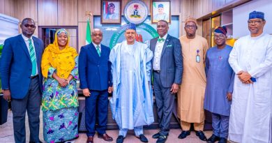 FG Strengthening Judiciary, Promoting Alternative Dispute Resolution — Information Minister