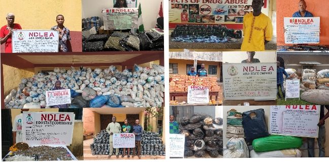 NDLEA Arrests 83-Year-Old Repeat Offender, South African Woman Over Drug Trafficking