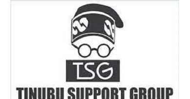 Rising National Revenue Reflects Tinubu’s Financial Acumen — TSG DG