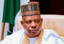 ADC in no position to oppose VP Shettima’s stance on President Tinubu’s rescue mission – TDF