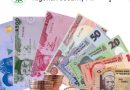TMV Credits Tinubu’s Reforms for Naira’s Strong Performance in Africa