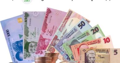 TMV Credits Tinubu’s Reforms for Naira’s Strong Performance in Africa