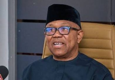 TDF Faults Obi Over Rejection of World Bank’s Nigeria Economic Growth Forecast TDF Faults Obi Over Rejection of World Bank’s Nigeria Economic Growth Forecast