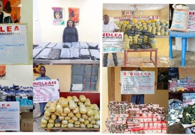 NDLEA Arrests South African Woman, US-Based Nigerian Grandmother in Major Drug Busts NDLEA Arrests South African Woman, US-Based Nigerian Grandmother in Major Drug Busts