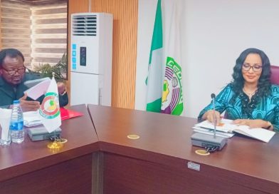 Nigeria Assures ECOWAS of Commitment to Peaceful, Credible 2027 Elections